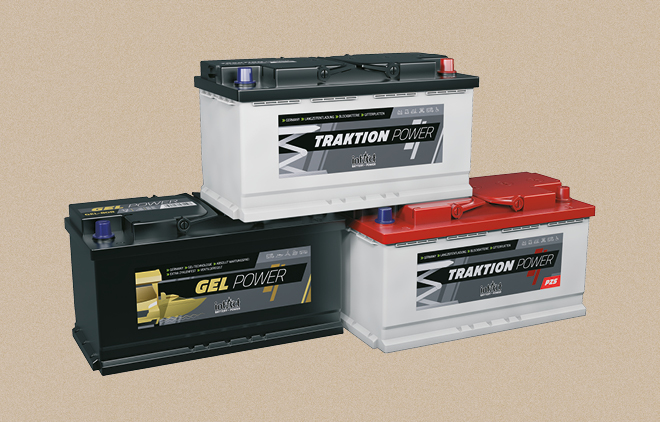 Picture Traction Battery