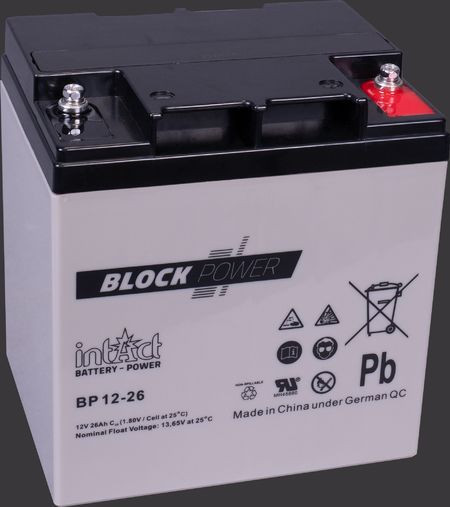 AGM Batterie Intact Block-Power 100Ah/12V