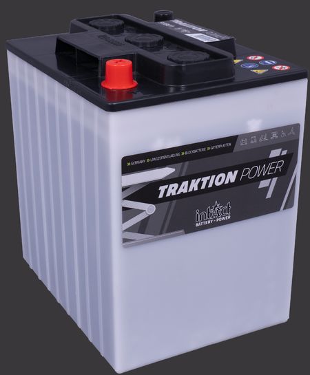product image Traction Battery intAct Traktion-Power 91801GUG