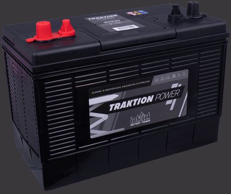 product image Traction Battery intAct Traktion-Power 95950GUG